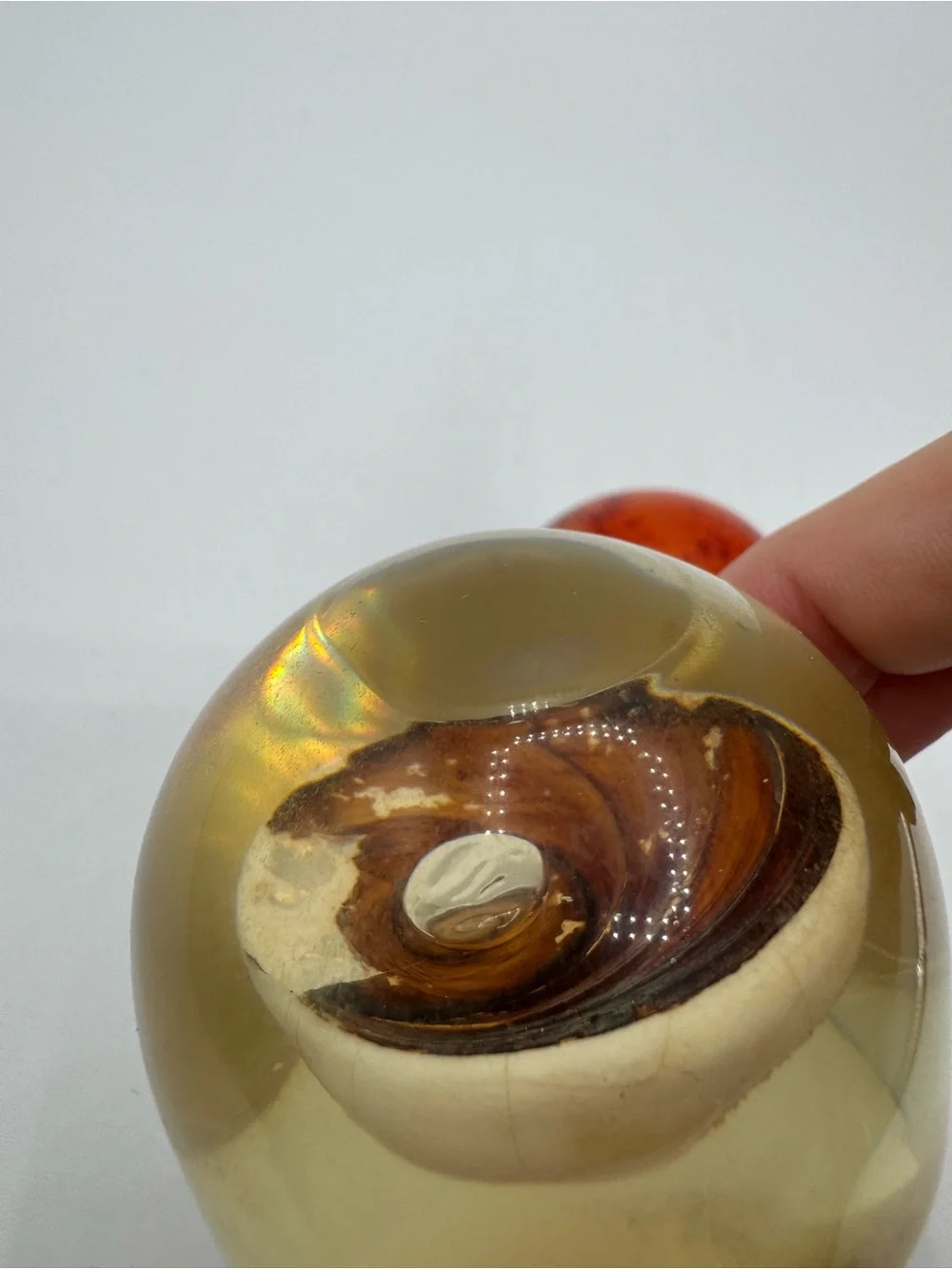 2 Vintage Acrylic Lucite Nautical Ocean Beach Seashells Paperweight